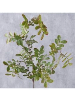 Dekoblume "Blatt" In Grün - (B)94 X (H)20 Cm 7 Dekoblume "Blatt" In Grün - (B)94 X (H)20 Cm -Dekowelt Verkauf boltze dekoblume blatt in grun b 94 x h 20 cm 3