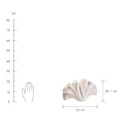 Deko-Objekt Blatt Höhe 21cm GINKGO In Creme -Dekowelt Verkauf butlers deko objekt blatt hohe 21cm ginkgo in creme 3