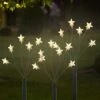 LED-Gartenstecker "Star" In Warmweiß - (H)66 Cm