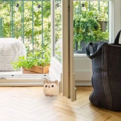 10x Türstopper "Eule" In Braun 11 10x Türstopper "Eule" In Braun -Dekowelt Verkauf relaxdays 10x turstopper eule in braun 4