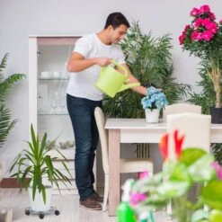 2x Pflanzenroller In Silber -Dekowelt Verkauf relaxdays 2x pflanzenroller in silber 2