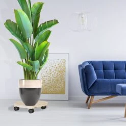 3x Pflanzenroller In Natur - (B)35 X (H)7,5 X (T)35 Cm -Dekowelt Verkauf relaxdays 3x pflanzenroller in natur b 35 x h 7 5 x t 35 cm 2