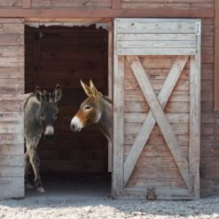 Türstopper Eule In Braun -Dekowelt Verkauf relaxdays turstopper eule in braun 2