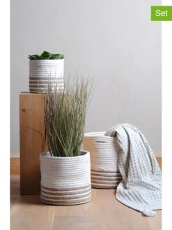 3er-Set: Aufbewahrungskörbe In Creme